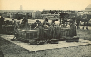 Ch4 p60 - Scots fishergirls Lowestoft North Denes 1899